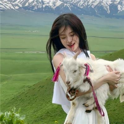 明黄禁色 封面
