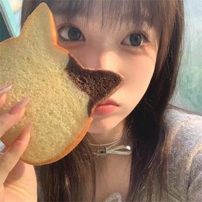 自由协议 封面